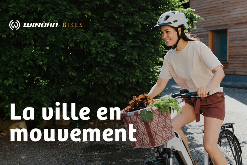 Explorez de nouveaux horizons avec les WINORA Tria X9 et Tria X8